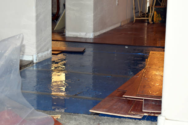 Professional Water Damage Restoration technician working in Juliustown, NJ